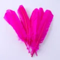 Helle rosa Truthahnfedern Handwerk DIY handgemachte Materialien lebendige Deko-Variante - Fuchsia