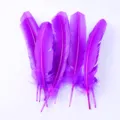 Lebendige violette Bastelfedern im Set für DIY handgemachte Kunstprojekte und Dekoration - Dunkellila