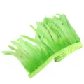 Light green rooster feather trim fringe 20-25cm for stage costume apparel sewing accessories - Fruit Green