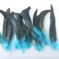 Colorful rooster tail feathers in black and turquoise for DIY craft and mask deco. - Lake Blue