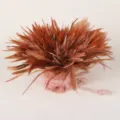 Plume à pointe marron accessoire bricolage attrape-rêves bouquet de plumes déco - Rose