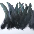 Natural black rooster tail feathers 20-25cm for DIY craft party mask headwear decor. - Black
