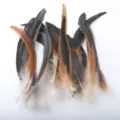 Natural rooster tail feathers for DIY crafts, masks, headwear, wings, and cat toys. - Natural Color