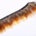Κρόσσια φτερού diy χειροποίητα αξεσουάρ ένδυσης και διακοσμητική κορδέλα craft - Κίτρινη μεταξωτή υφασμάτινη λωρίδα 1m