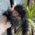 Black feather boa strip fluffy ostrich feathers trim for DIY clothing cuffs collar sewing decor. - Black, Short Double Layer, Dense