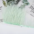 Ribete de plumas de avestruz verde claro cinta de flecos para coser vestido de novia 10cm - 20