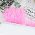 Cinta de ribete de plumas de avestruz rosa DIY costura prenda disfraz decoración 1ud - 62