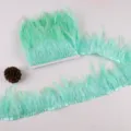 Mintgrüne Federborte Band für Nähhandwerk, DIY Kleidungszubehör und Hochzeitskleid Kante. - Hellzyan