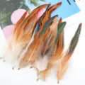 100pcs colorful rooster tail feathers with metal clips for DIY jewelry crafts and cat toys - Natural Color (Approx. 100 Pcs)