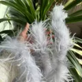 Ostrich feather trim strip fluffy feather for DIY clothing cuffs collar decorative accessories. - Grey (Short Single-Layered High Density)