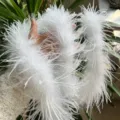 White ostrich feather boa fluffy trim for DIY clothing cuffs collar sewing craft accessories - White (Short Single-Layered High Density)