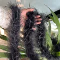 Fluffy black ostrich feather boa trim for DIY clothing crafts, cuffs, collars, and apparel decor. - Black (Short Single Layer High Density)