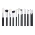 15-teiliges professionelles Pinselset mit schwarzen Griffen fur makelloses Make-up. - Nur Pinsel Kit