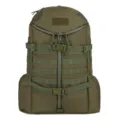 Taktischer Rucksack Detailansicht mit strapazierfähigem olivgrünem Stoff, MOLLE-Gurtband und Schnallen. - 36-55L / Armeegrün