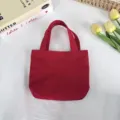 Detailed close-up shot of the red nylon mini tote bag, highlighting smooth fabric and texture. - 21*6*27cm / Red