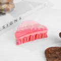 Rosa Acetat Haarklammer halbrunde Haarklammer minimalistisches Mode Haarzubehör für Damen - Rosa