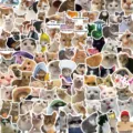 100pcs drôles autocollants étanches chat mème pour ordinateur portable valise bricolage - 100 Pièces/Paquet