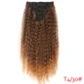 Vue détaillée de 50cm extensions de cheveux bouclés synthétiques clip lot de 7 en T4/30. - T4/30