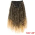 Extensions de cheveux bouclés synthétiques à clip 50cm 140g ombré brun blond clair - T1B/27 Ombré Brun