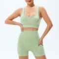 Seamless gym set ribbed sports bra high waist fitness shorts green yoga wear activewear workout - S / Top And Bottom / Green