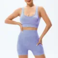 Seamless ribbed sports bra and high-waisted fitness shorts set in light purple for yoga workout. - S / Top And Bottom / Purple