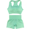 Ensemble de yoga 2 pièces soutien-gorge de sport et short taille haute vert menthe sans coutures. - Vert Fruit