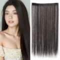 Extension de cheveux raides longs pour femmes, postiche noir naturel pour un usage quotidien. - Calicot
