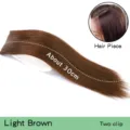 Light brown clip-in hair extension piece, 30cm straight synthetic hair for daily styling. - Two-Clip Straight Hair Piece (AJ17) / 1 Piece/Pack / Light Brown (2/30)
