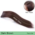 Dark brown hair extension piece 30cm straight synthetic hair with two clips for daily styling. - Two-Clip Straight Hair Piece (AJ17) / 1 Piece/Pack / Dark Brown (2/33)