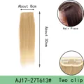 Synthetic straight hair extension 30cm two clips blonde hair piece daily wear natural look - Two-Clip Straight Hair Piece (AJ17) / 1 Piece/Pack / Mixed Blonde (27T613)