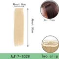 Cross-border wholesale 30cm synthetic straight hair clip-in extension piece with two secure clips. - Two-Clip Straight Hair Piece (AJ17) / 1 Piece/Pack / Shade 102