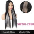 Long straight lace front synthetic wig with silver highlights, middle part, 70cm daily wear - Black and Silver Highlighted Long Straight Hair (SW237-2H60) / Black and White Highlights