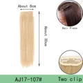 Synthetic hair extension 30cm straight two clip hair piece blonde daily wear hair - Two-Clip Straight Hair Piece (AJ17) / 1 Piece/Pack / Shade 107