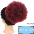 Chignon riccio sintetico con coulisse posticcio parrucca rosso vino donna 10-25cm - Rosso Vino (FB12-1BT2I99)