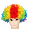 Colorful rainbow afro clown wig for Halloween party, lightweight 130g fancy dress hair. - One Size / Style G