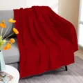 Red Guochao Blanket Chinese Style Throw Blanket Sofa Cover Home Decor Winter Warm Bedding - 80x120cm (260gsm) / Red Water Ripple Pattern (QL-MT26-4)
