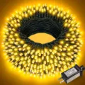 Warm white LED string lights with dark green wire and power adapter for holiday decor details. - 10m 100 LEDs - US Plug / Warm White Light (Dark Green Wire String Lights)