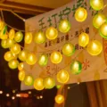 LED Zitronen Lichterkette dekorative Sommer Frucht Stimmungsbeleuchtung Party Dekoration - Zweifarbig in Cyan und Gelb