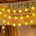 LED lemon string lights decorative fairy lights summer fruit string lamps for room party decor - Battery Box Version / Lime