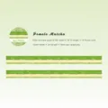 Momomo washi tape pomelo matcha style, 15mm width 2m length decorative masking tape for journaling. - Yuzu Matcha
