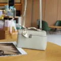 Close-up detail of the light green leather vanity box bag with silk scarf handle and padlock. - Gray and White