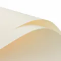 Cream yellow waterproof floral wrapping paper, solid color DIY bouquet packing material. - 57cmx57cm (Sheets Pack) / Milk Yellow