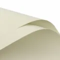 Waterproof monochrome bouquet wrapping paper for floral arrangement, DIY craft and gift wrapping. - 57cmx57cm (Sheets Pack) / Tender Milk Green