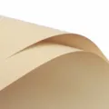 Light kraft wrapping paper for flower bouquets, waterproof DIY craft material option. - 56cm x 10 Yards (1 Roll) / Light Kraft