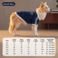 Large dog polo sweatshirt winter warm pet clothes Bondi Blue for large dogs golden retriever - Blue Hoodie (Polo Collar)