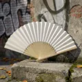 Minimalist DIY blank white silk folding fan with bamboo ribs for wedding favors and crafts - Style R Plain Satin Fan (Beige)
