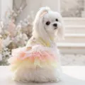 Estate carino animale domestico cane vestito pizzo floreale bretelle cucciolo vestiti piccoli - XS / Giallo Rocker