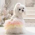 Abito estivo per cani rosa giallo volant pizzo vestiti per animali piccoli cani - XS / Rosa Aoli