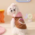Cute summer small dog hoodie vest in brown and pink, breathable pet clothes variant. - XS (1-3 lbs) / Lomi Brown