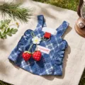 Blue plaid pet dress with cute strawberry decor summer puppy clothes breathable pet apparel - Vintage Strawberry